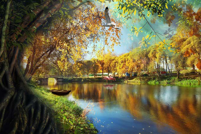 Lake View In The Autumn Season Nature Wallpaper