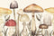 Mushroom Designed Boho Wallpaper