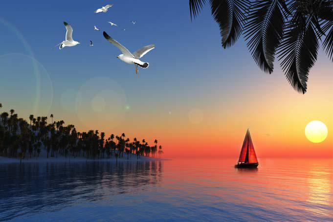 Sailboat In Sunset View Nature Wallpaper