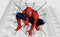 Spiderman Web Pattern Wallpaper
