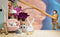 Tangled Cartoon Character Disney Wallpaper