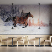 Horse Stallion Snow Wallpaper