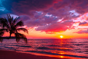 Sunset In Pink Ocean Painting Self Adhesive Sticker For Wardrobe