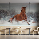 Healthy Horse Wallpaper