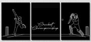 Cricket Championship Wall Art, Set Of 3