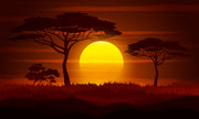 Sunset with Tree Self Adhesive Sticker For Wardrobe