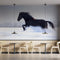 Friessian Horse Wallpaper