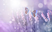 Colourful Butterfly Art Self Adhesive Sticker For Refrigerator