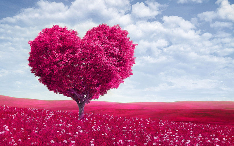 Pink Heart Tree Wallpaper