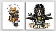Rider Funny Cat Wall Art