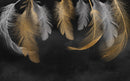 Feathers Customize Wallpaper