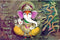 Ganesha Mantra Customised Wallpaper