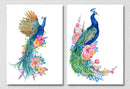 Peacock White Background, Set Of 2