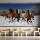 7 Horses Vastu Wallpaper