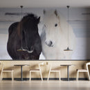Black And White Horses Wallpaper