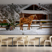 Zakopane Poland Winter Wallpaper