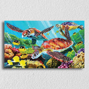 Marine Seabed Scenery