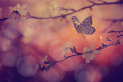 Pink Butterflys On White Flower Self Adhesive Sticker For Table