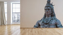 Shiva On White Background Wallpaper