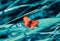 Red Shaded Butterflys Painting Self Adhesive Sticker For Table