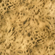 Romania Leapord Skin Pattern Wallpaper