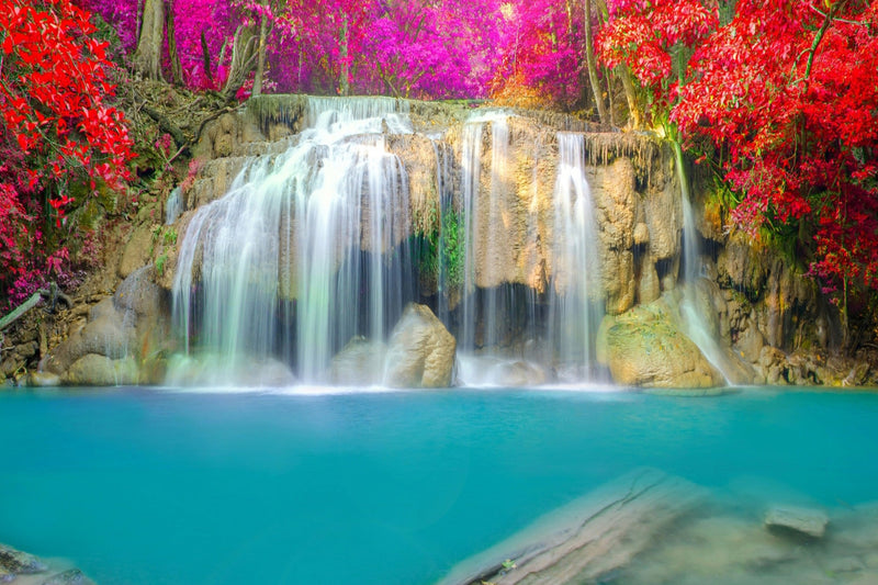 Waterfall and Colourful Leaves wallpaper for wall