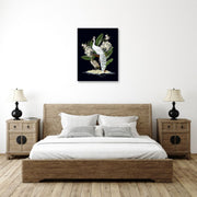White Peacock Black Background Art
