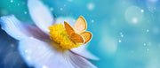 Yellow Butterflys On Pink Flower Self Adhesive Sticker For Table