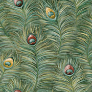 Adhya Peacock Feather Wallpaper