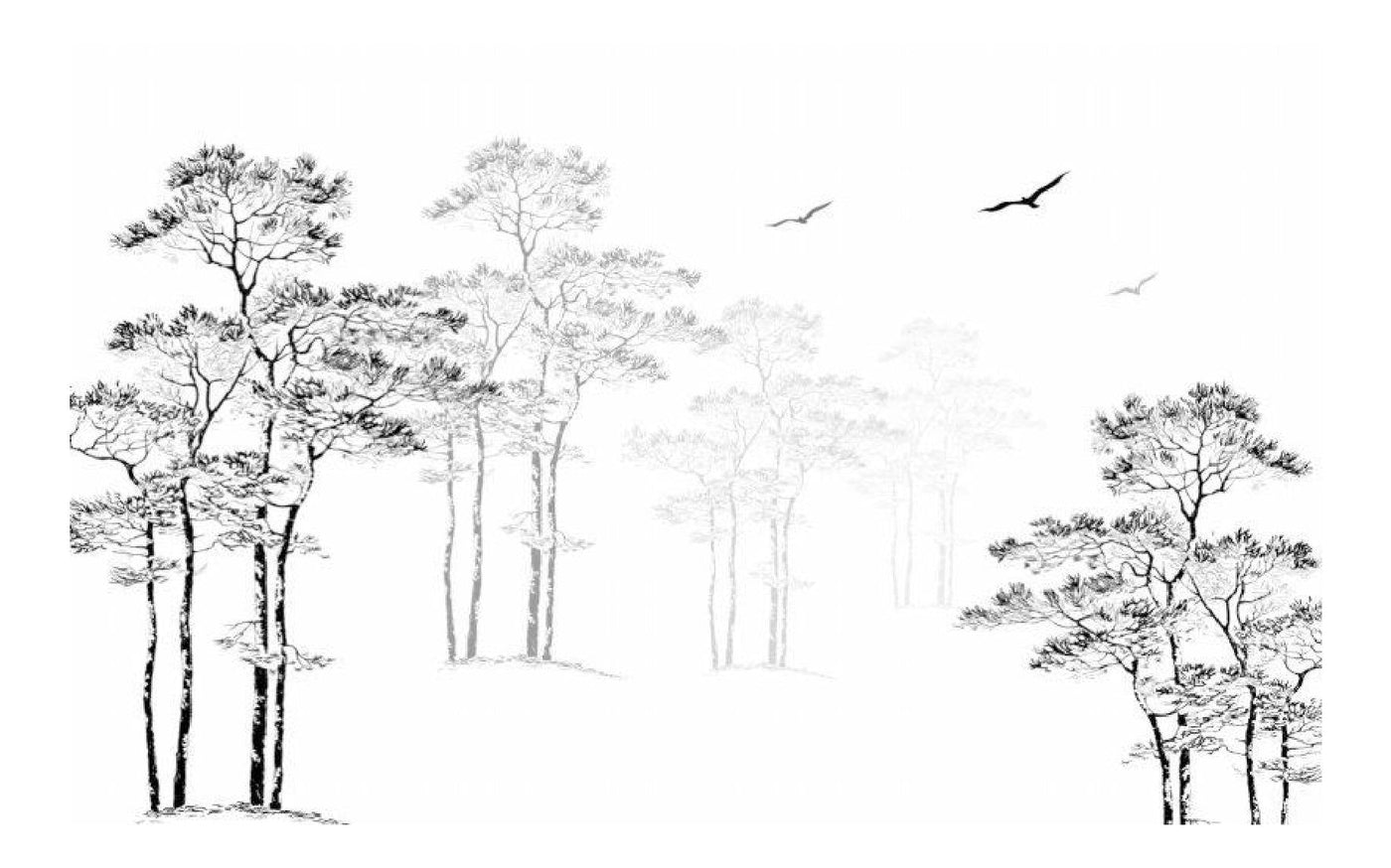 Black And White Landscape Wallpaper