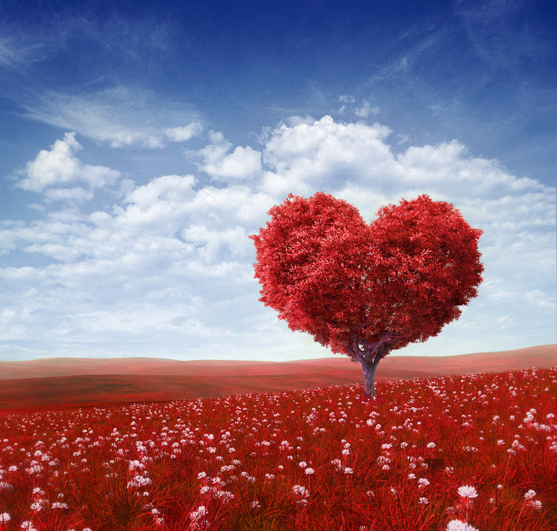 Red Flower Heart Tree Wallpaper
