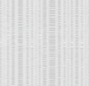 Shine 2 Plain Grey Wallpaper
