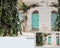 Blue door with green bush art