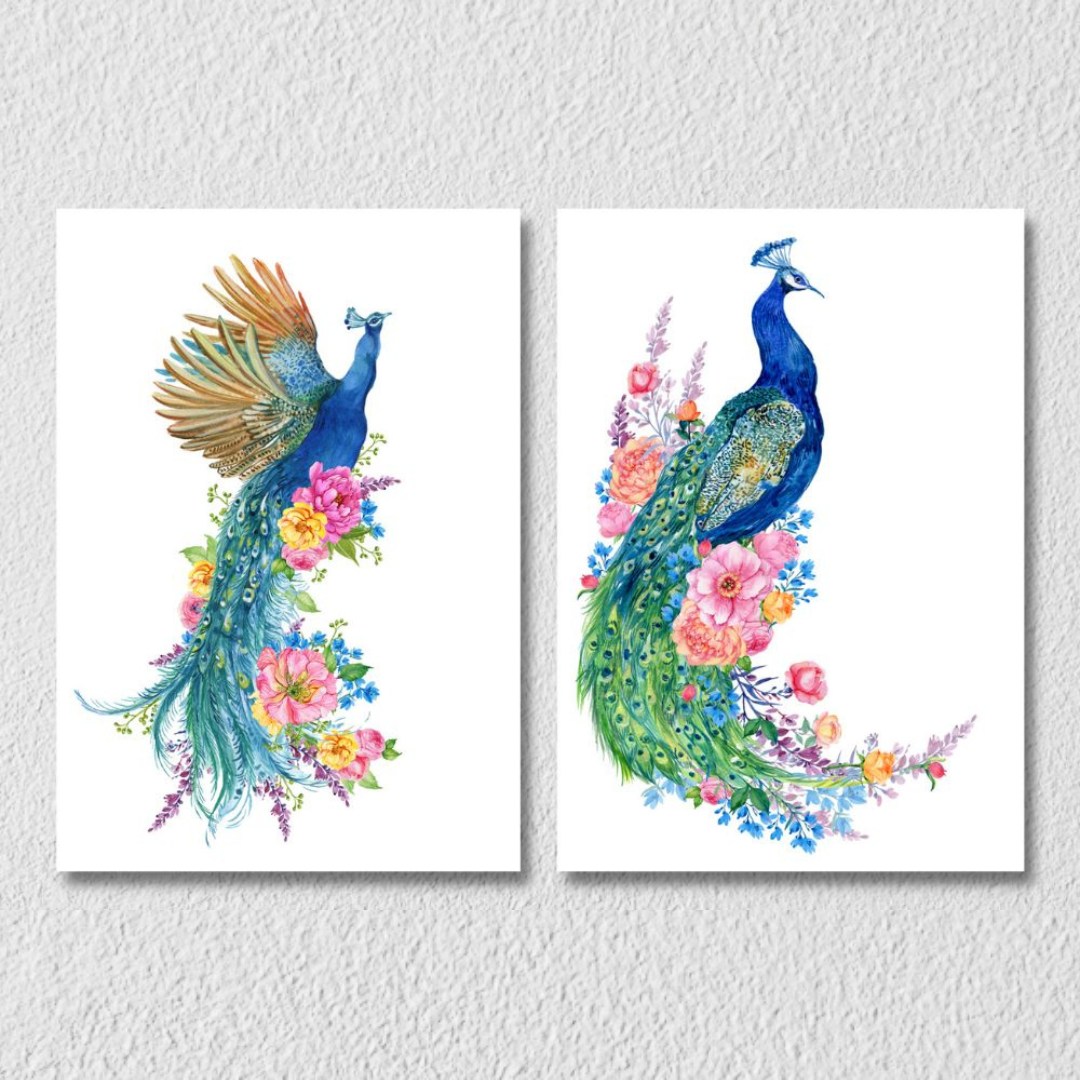 Peacock White Background, Set Of 2