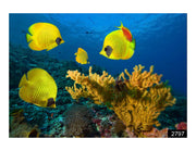 Yellow Fish Wallpaper for wall