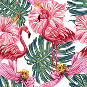 Beautiful Colored Wallpaper
