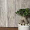 Florence Wooden Ply Wallpaper