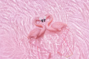 Swan 3D water wallpaper