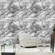 Remdesivir Black & Gold Vinyl Wallpaper