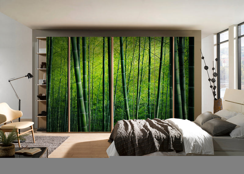 Bamboo Trees In Jungle Self Adhesive Sticker For Wardrobe