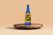 Radha Krishna Bottle Art