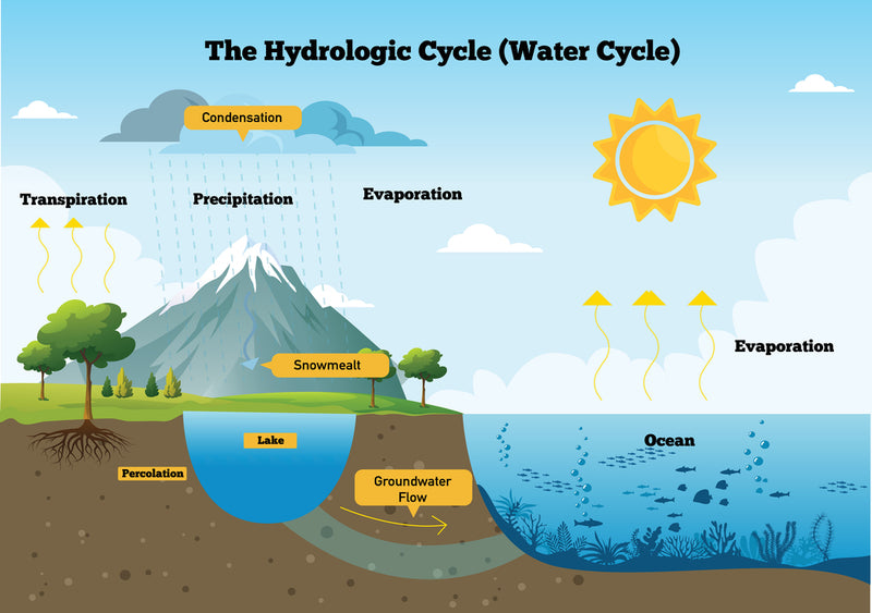 Hydrologic Cycle Wallpaper