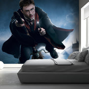 Harry Potter Dragon Wallpaper