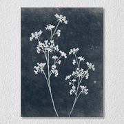 White Parsley Floral Wall Art