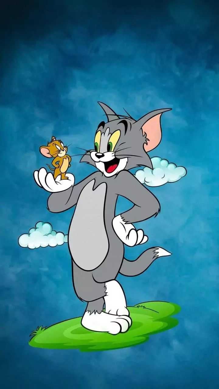Tom And Jerry Self Adhesive Sticker For Door
