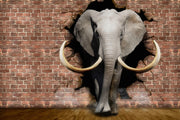 3D Elephand Self Adhesive Sticker For Wardrobe