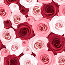 Pink And Red Rose Wallpaper