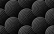 Dotted Circle 3D Design Self Adhesive Sticker For Wardrobe