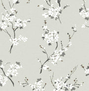 Omega Cherry Blossom Wallpaper