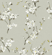 Omega Cherry Blossom Wallpaper